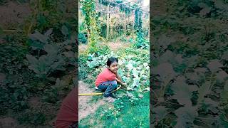 ମୁଁ କୁଆଡ଼େ ଯାଇଥିଲି ||odia rasmita vlogs#shortsvideo#youtubeshorts#video#shortsvideo#viral