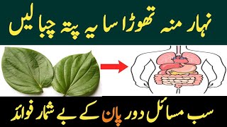 pan ke patte ke fayde | pan khane ke fayde | benefits of paan