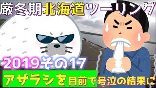 2019 厳冬期北海道ツーリング 17 ついにこの時を待っていた 目の前にいるアザラシを対面する前に男のとった行動に涙が止まらない。 Hokkaido motorcycle touring