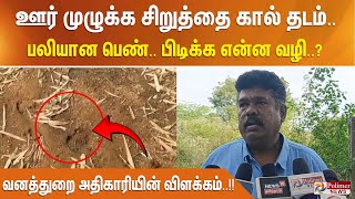 ஊர் முழுக்க சிறுத்தை கால் தடம்.. பலியான பெண்.. பிடிக்க என்ன வழி? வனத்துறை அதிகாரியின் விளக்கம்..!!