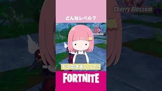 どんなレベル？ #fortnite #フォートナイト #cb