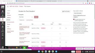How do you see the scores for individual assignments in the Canvas gradebook?