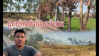 អស់ហេីយបេីដុតយ៉ាងនិង ទឹកក៏អស់ ដេីមឈេីកដុតទៀតស្តាយណាស់ {ទស្សនាជិវិតអ្នករស់នៅតាមរ៉ារទះភ្លេីង}អូតាគាំ