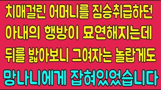 [사이다사연] 치매걸린 어머니를 짐승취급하던 아내의 행방이 묘연해지는데 뒤를 밟아보니 그여자는 놀랍게도 망나니에게 잡혀있었습니다(라디오드라마)(사이다사연)(사연읽어주는)(사연)