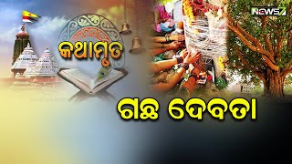 ଗଛ ଦେବତା || କଥାମୃତ || KATHAMRUTA || 09 May 2022