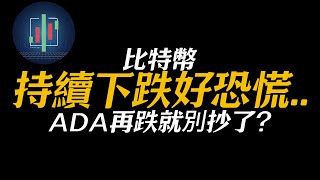 比特幣繼續下跌我好恐慌？大錯特錯！這是好信號？BTC ETH ADA DOGE