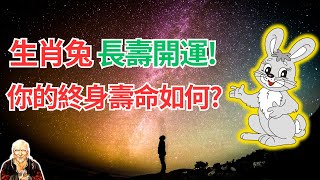 生肖兔，你的健康運程走向你知道嗎？你的終身壽命如何？命理告訴你答案！長壽開運秘密要掌握！ #生肖兔2024年運勢 #生肖兔2024年運程 #屬兔人2024年運程 #屬兔人2024年運勢