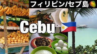 Sub【🇵🇭フィリピン Vlog】2022年8月のセブ島 | カルボンマーケット | ローカルフード食べ歩き | 客室乗務員のセブ島ステイvlog