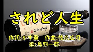 されど人生　　鳥羽一郎　　唄　男宿カバー