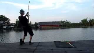 Mekhongjoen kissakalan kalastus - Mekhong catfish fishing