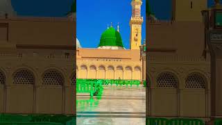 Madina 🌼🦋🕋#shortvideo #madinasharif #islamic_video_world