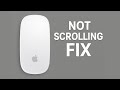 How to Fix Magic Mouse Scrolling Not Working on Mac OS