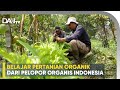Ini Dia Pelopor Pertanian Organik di Indonesia! Sejak 1984 - Agatho Farm
