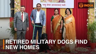 Retired Military Dogs Find New Homes