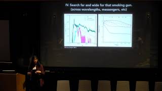 The Astrophysics of Fast Radio Bursts - Wen-fai Fong (February 4, 2020)