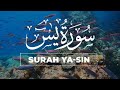 Best Surah Yasin Full (Yaseen) سورة يس | Tranquility Marvelous Beautiful Voice | QURAN ZIKR