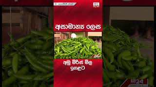 අසාමාන්‍ය ලෙස අමු මිරිස් මිල ඉහළට...