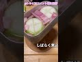 丁寧じゃないおすすめキャンプ飯♡簡単レシピ shorts