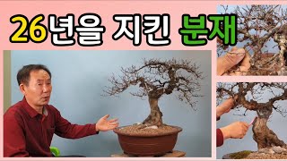 분재관리 170강 신년 특집--- 26년을 지킨 분재