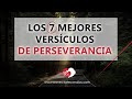 🏄 Los 7 Mejores Versículos de Perseverancia