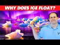 Why Does Ice Float & Why is that AMAZING?
