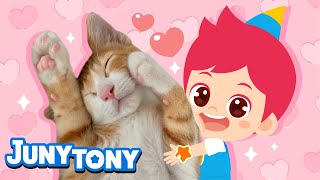 🐾💖 You Are the Cutest Thing! | A Song for My Pet | Animal Songs for Kids | JunyTony