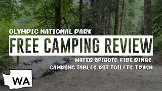 Lyre River Campground | FREE CAMPING REVIEW | Olympic National Park