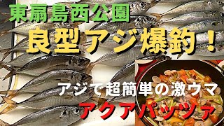 【東扇島西公園　アジ・サバ・イワシ釣り】2021年7月12日~13日　良型アジが爆釣！アクアパッツァにしたら最高でした(#40)