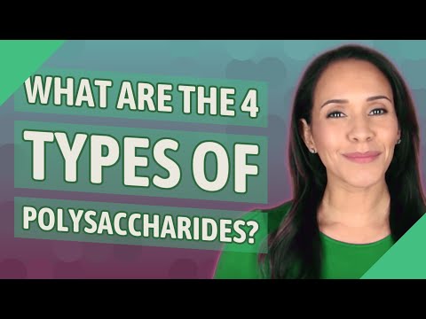 What are the 4 types of polysaccharides?