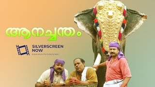 Aanachandam | Malayalam Super Hit Full Movie | Jayaram \u0026 Remya Nambeeshan