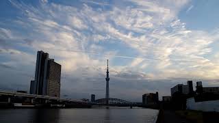 飛行機雲　雲の流れ　　隅田川　白鬚橋　東京スカイツリー　2020　12.09