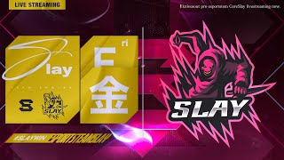 【荒野行動】今日はパピコ視点【Slay / ゴルタイ】