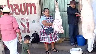 Filomeno Mata. pueblo y cabecera municipal. muy bonito lugar 😃👍