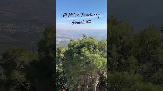 The highest viewpoint in Jerash ​⁠at Al Ma’wa Sanctuary. #wildlife #sanctuary #lions #jordan #amman