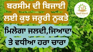 ਬਰਸੀਮ ਬੀਜਣ ਲਈ ਕੁਝ ਜਰੂਰੀ ਨੁਕਤੇ।।Best method to cultivation of barseem।।