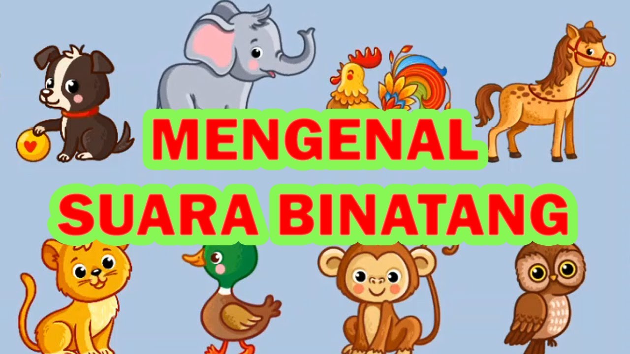 Dunia Anak - Belajar Mengenal Suara Binatang - YouTube