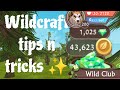 Wildcraft tips for everyone