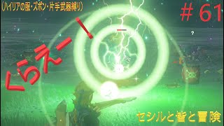 ゼルダの伝説　ナミカ・オズの祠とミーズー・ヨの祠！　セシルと皆と冒険＃61（ハイリアの服、ズボン、片手武器縛り）