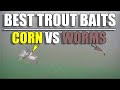 Best Trout Baits: Corn vs Worms