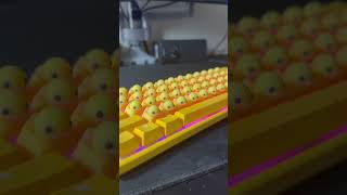 I promise I just LOVE ducks 🤣 #keyboard