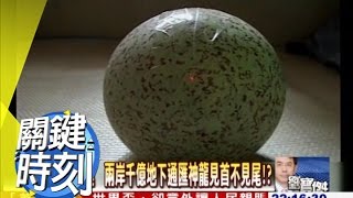 動人命的九龍夜明珠詛咒黑幕！？ 2010年 第0835集 2200 關鍵時刻