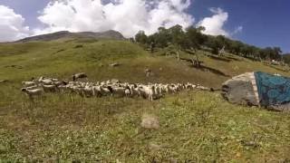 Lamkhaga Pass Trek - Harsil to Chitkul