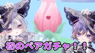 【ポケツイ】今回初めてペアガチャの7連回します！そして遂に初達成！！