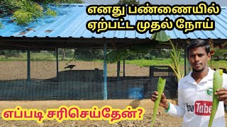 எனது பண்ணையில் ஏற்பட்ட முதல் நோய்|அம்மை நோயை சரி செய்வது எப்படி