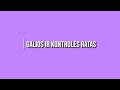 Galios ir kontrolės ratas