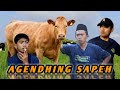 AGENDING SAPEH || KOMEDI MADURA LUCU || ( BOLOT )