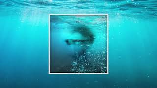 Lenji - Drown (Official Audio)