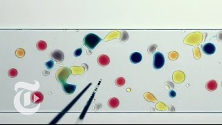 The Physics of Droplets | ScienceTake | The New York Times