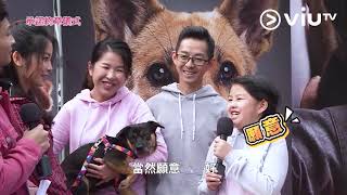 《家多咗個PET》你願唔願意照顧毛孩一生一世  係一家人 堅持領養不棄養