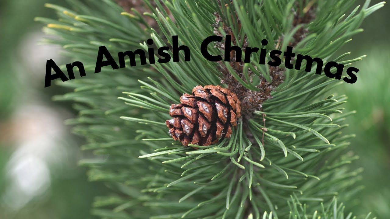 An Amish Christmas Celebration // How Do The Amish Celebrate Christmas ...